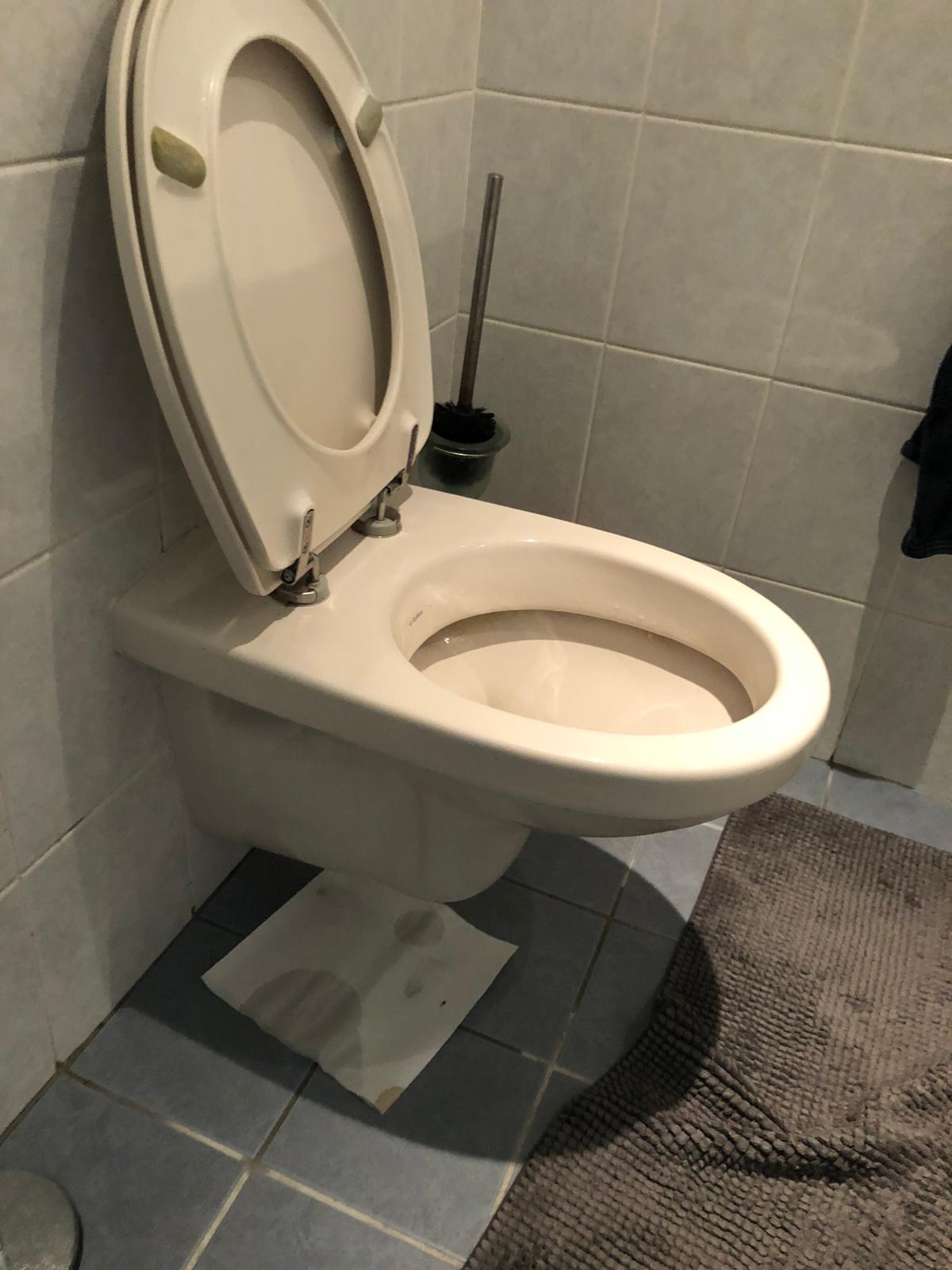 hangtoilet Wageningen